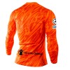 Camisetas Atlético Madrid 4ª Portero 2024-25 Manga Larga - Hombre